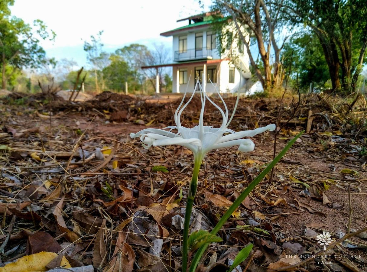 The Boundary Yala Hotel Kataragama Kültér fotó