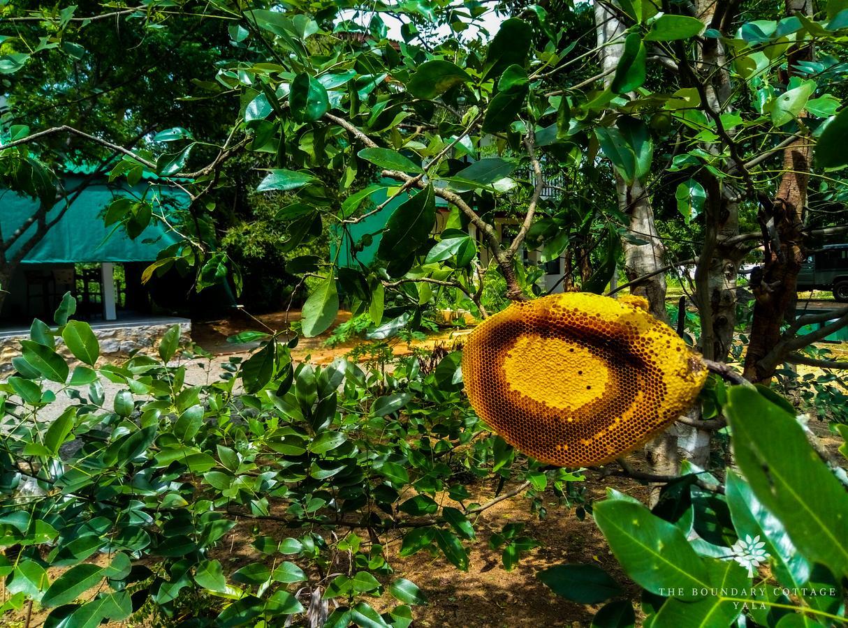 The Boundary Yala Hotel Kataragama Kültér fotó